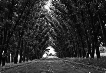 ddos压力测试网页端