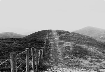 ip攻击器网页版ddos